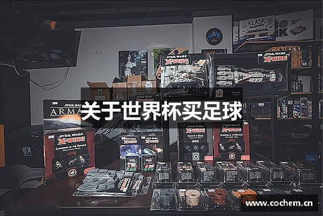 关于世界杯买足球